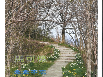 念念不忘